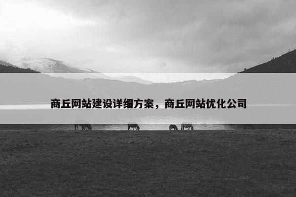 商丘网站建设详细方案，商丘网站优化公司