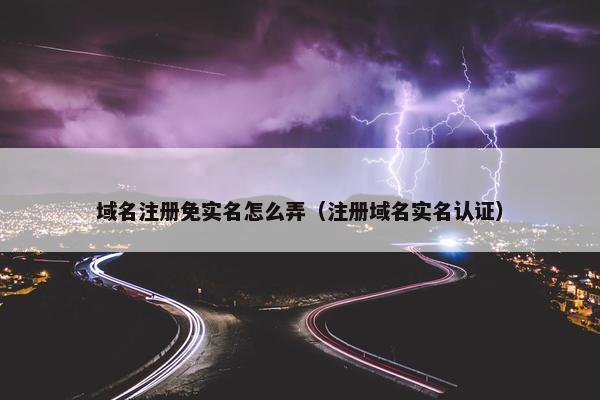 域名注册免实名怎么弄（注册域名实名认证）