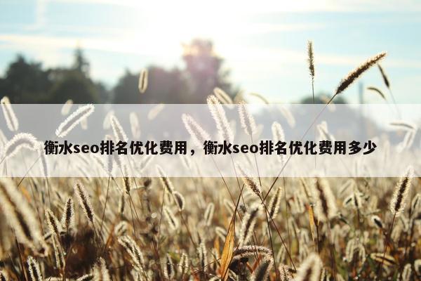 衡水seo排名优化费用，衡水seo排名优化费用多少