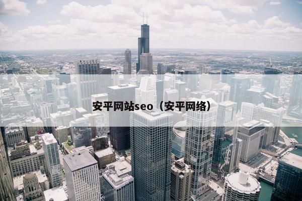 安平网站seo（安平网络）