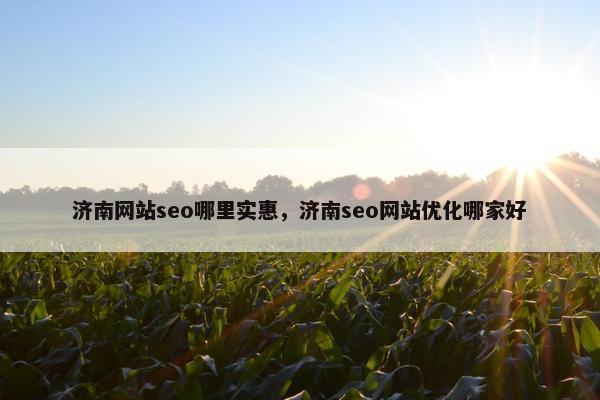 济南网站seo哪里实惠，济南seo网站优化哪家好