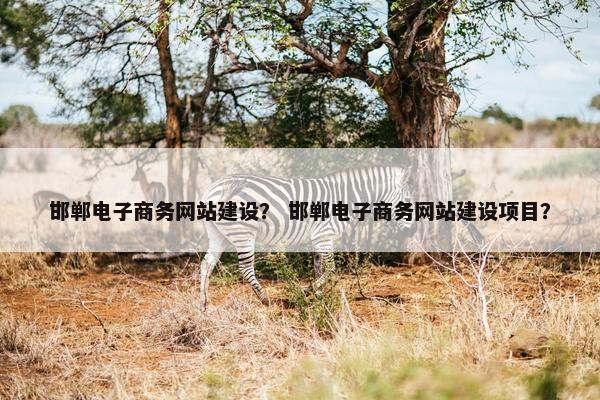 邯郸电子商务网站建设？ 邯郸电子商务网站建设项目？