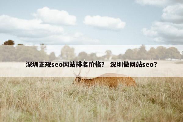深圳正规seo网站排名价格？ 深圳做网站seo？