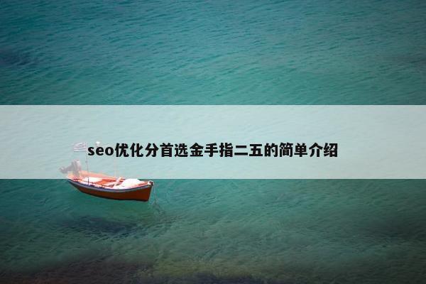 seo优化分首选金手指二五的简单介绍