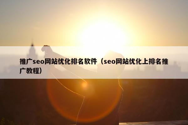 推广seo网站优化排名软件（seo网站优化上排名推广教程）