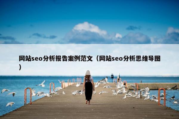 网站seo分析报告案例范文（网站seo分析思维导图）