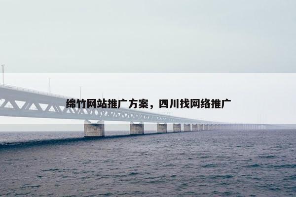 绵竹网站推广方案，四川找网络推广