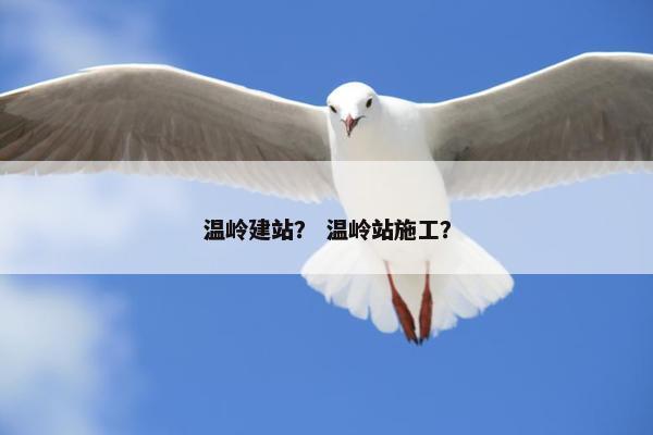 温岭建站？ 温岭站施工？