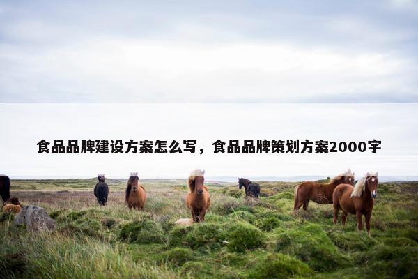 食品品牌建设方案怎么写，食品品牌策划方案2000字