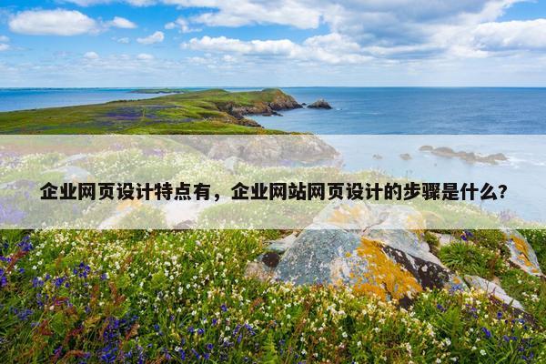 企业网页设计特点有，企业网站网页设计的步骤是什么?