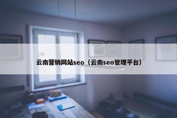 云南营销网站seo（云南seo管理平台）