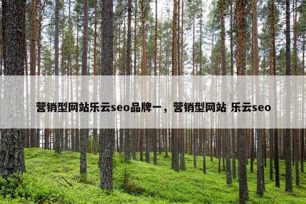 营销型网站乐云seo品牌一，营销型网站 乐云seo