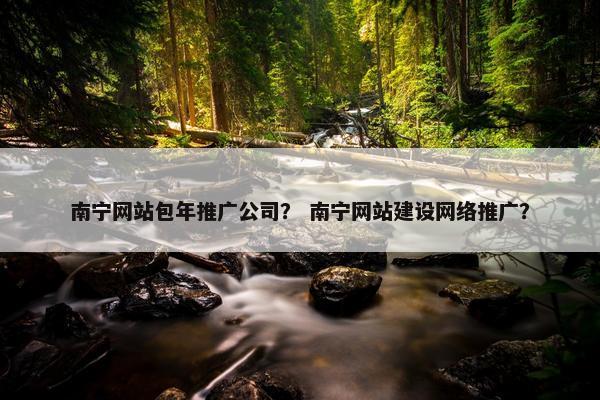 南宁网站包年推广公司？ 南宁网站建设网络推广？