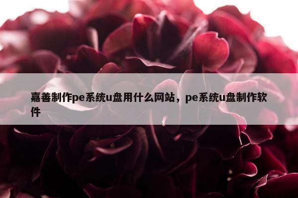 嘉善制作pe系统u盘用什么网站，pe系统u盘制作软件