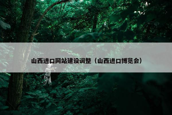 山西进口网站建设调整（山西进口博览会）