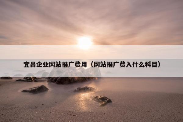 宜昌企业网站推广费用（网站推广费入什么科目）