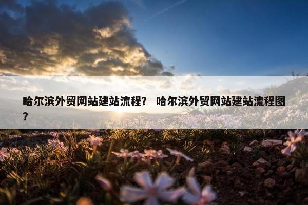 哈尔滨外贸网站建站流程？ 哈尔滨外贸网站建站流程图？