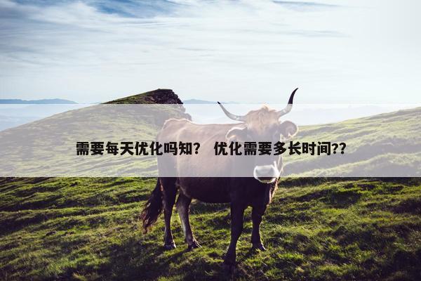 需要每天优化吗知？ 优化需要多长时间?？