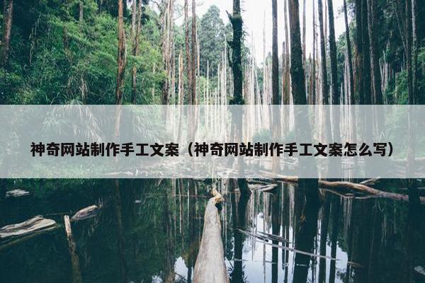 神奇网站制作手工文案（神奇网站制作手工文案怎么写）