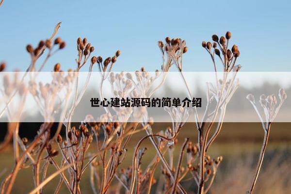 世心建站源码的简单介绍