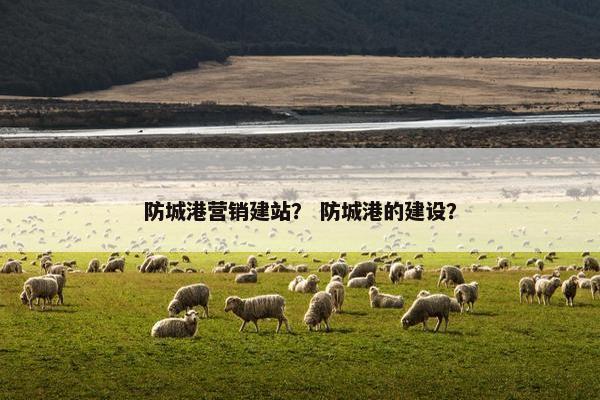 防城港营销建站？ 防城港的建设？