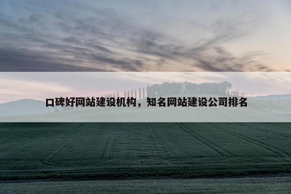 口碑好网站建设机构，知名网站建设公司排名