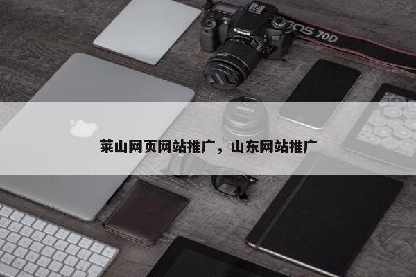 莱山网页网站推广，山东网站推广