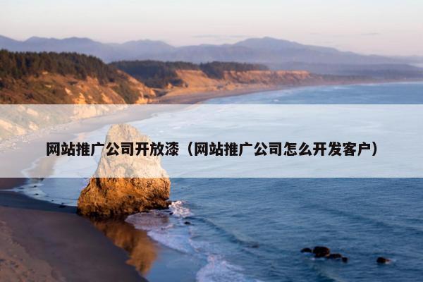 网站推广公司开放漆（网站推广公司怎么开发客户）