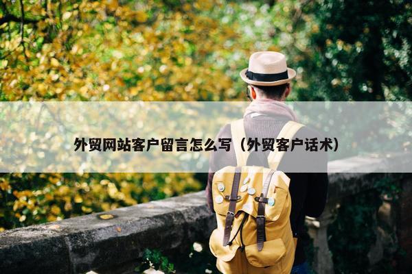 外贸网站客户留言怎么写（外贸客户话术）