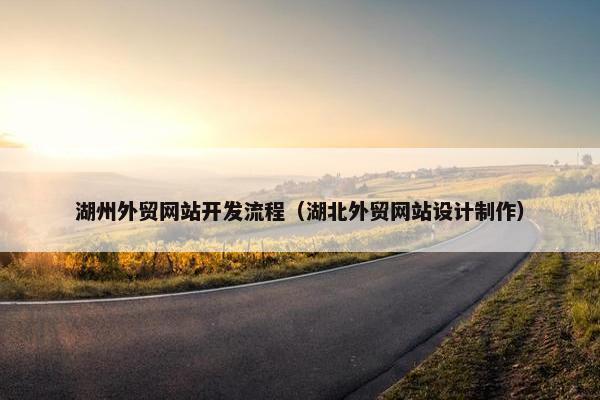 湖州外贸网站开发流程（湖北外贸网站设计制作）