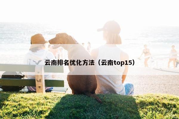 云南排名优化方法（云南top15）