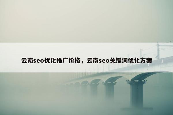 云南seo优化推广价格，云南seo关键词优化方案