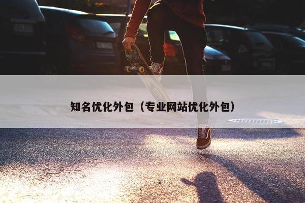 知名优化外包（专业网站优化外包）