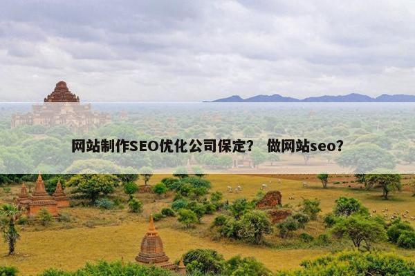 网站制作SEO优化公司保定？ 做网站seo？
