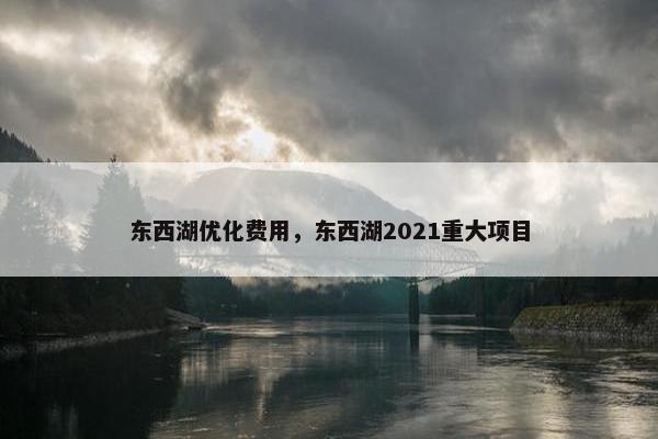 东西湖优化费用，东西湖2021重大项目