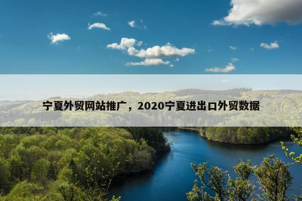 宁夏外贸网站推广，2020宁夏进出口外贸数据