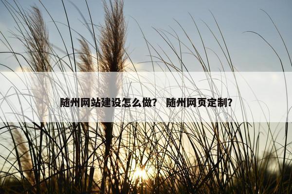 随州网站建设怎么做？ 随州网页定制？