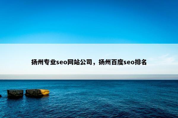 扬州专业seo网站公司，扬州百度seo排名