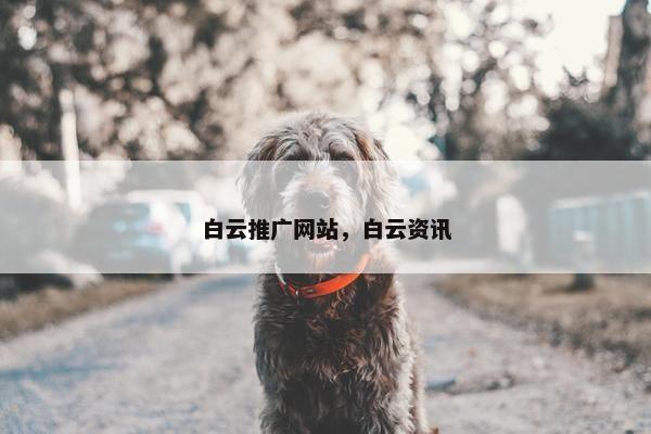 白云推广网站，白云资讯