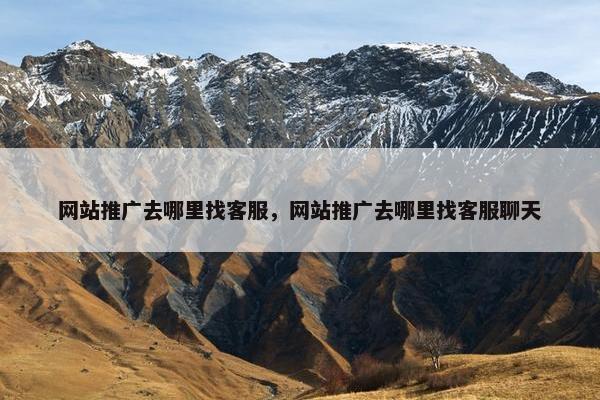 网站推广去哪里找客服，网站推广去哪里找客服聊天