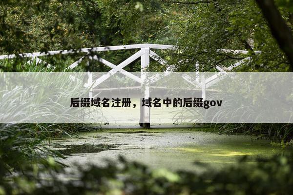 后缀域名注册，域名中的后缀gov