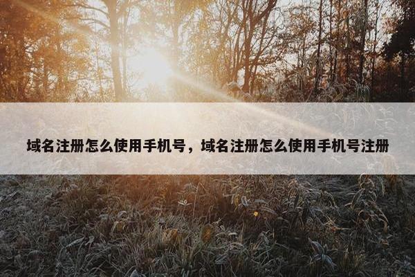 域名注册怎么使用手机号，域名注册怎么使用手机号注册