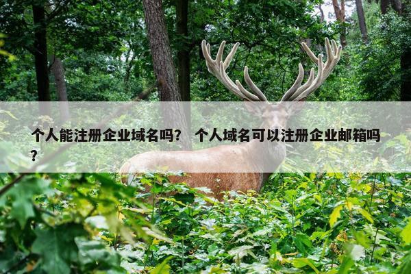 个人能注册企业域名吗？ 个人域名可以注册企业邮箱吗？