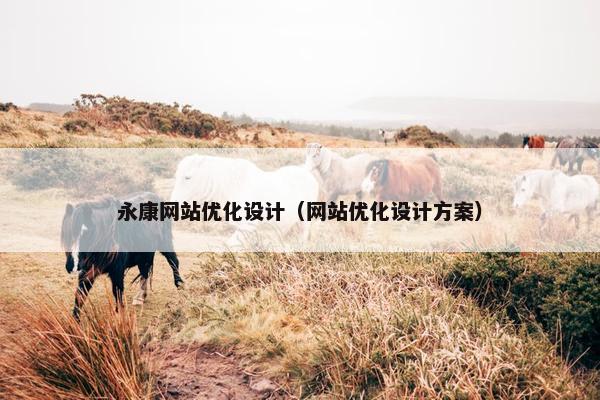 永康网站优化设计（网站优化设计方案）