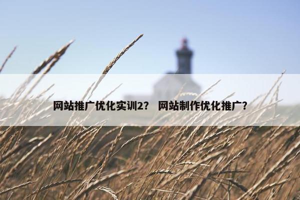 网站推广优化实训2？ 网站制作优化推广？