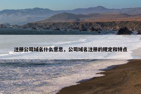 注册公司域名什么意思，公司域名注册的规定和特点