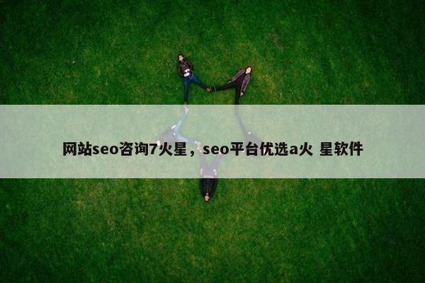 网站seo咨询7火星，seo平台优选a火 星软件