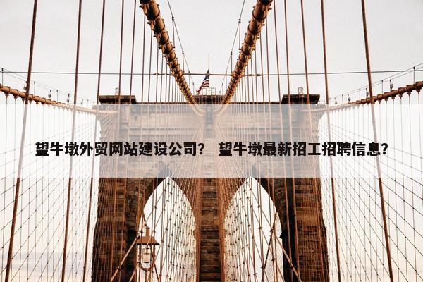 望牛墩外贸网站建设公司？ 望牛墩最新招工招聘信息？