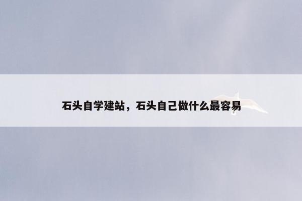 石头自学建站，石头自己做什么最容易