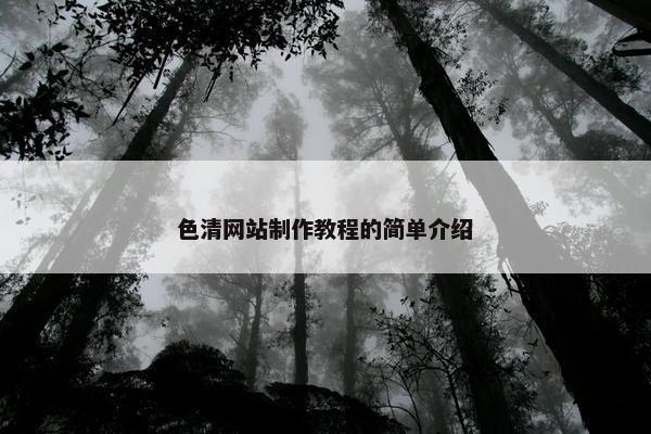 色清网站制作教程的简单介绍